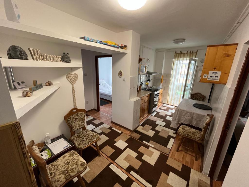 Bubu Apartament Petrosani Ngoại thất bức ảnh