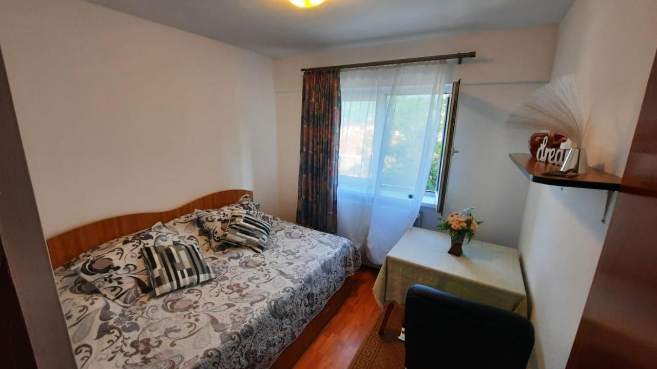 Bubu Apartament Petrosani Ngoại thất bức ảnh